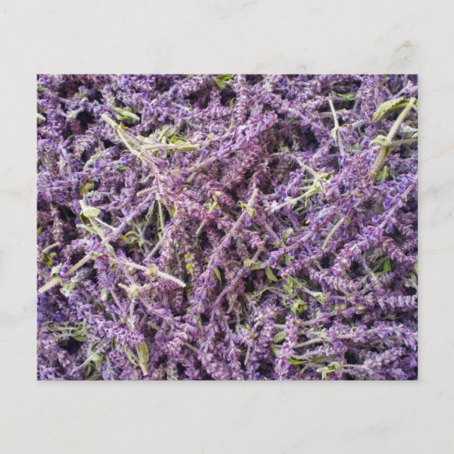 Lavender flowers pattern flyer (Front)