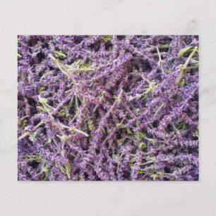 Lavender flowers pattern flyer