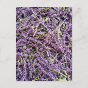 Lavender flowers pattern postcard
