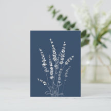 Lavender Flowers Postcard