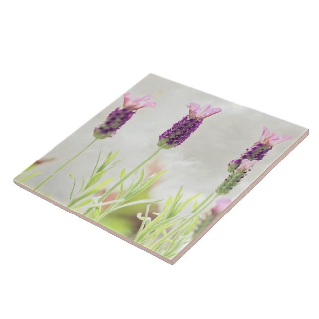 Lavender Flowers Tile (Side)