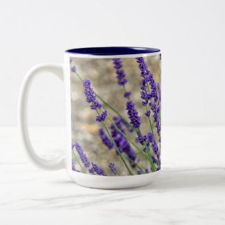 Lavender flowers  Two-Tone coffee mug