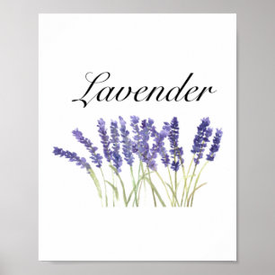 Lavender flowers watercolor herbs purple chic poster