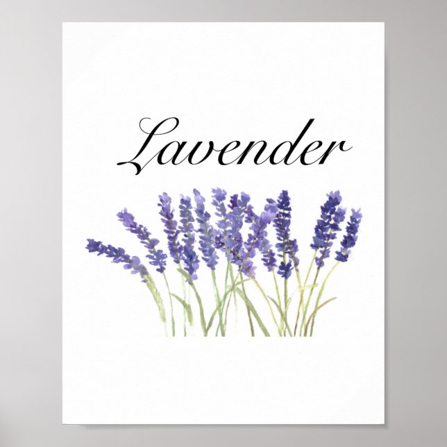 Lavender flowers watercolor herbs purple chic poster (Front)