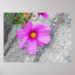 Lavender Flowers with Inspirational quotes Poster