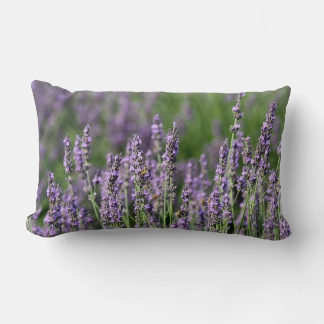 Lavender Garden Lumbar Cushion (Front)