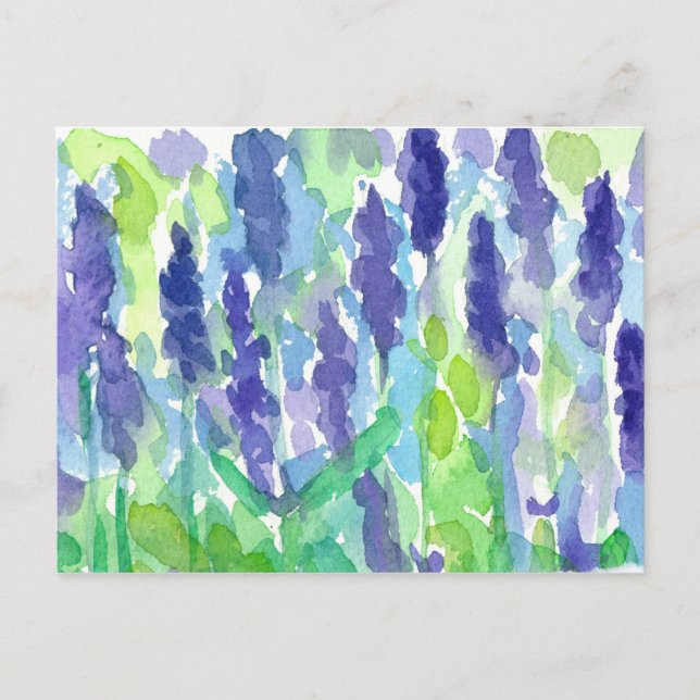 Lavender Garden Watercolor Painting  Postcard (Front)