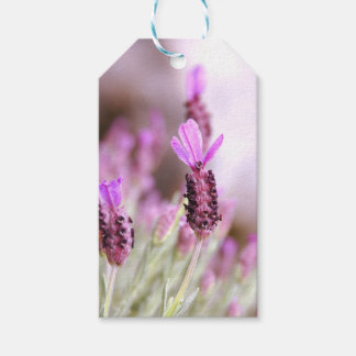 Lavender Gift Tag