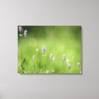 Lavender & Green Photography Art