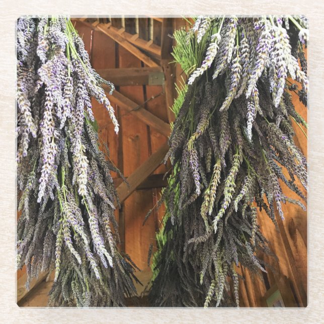 Lavender Hanging in a Barn Glass Coaster (Front)