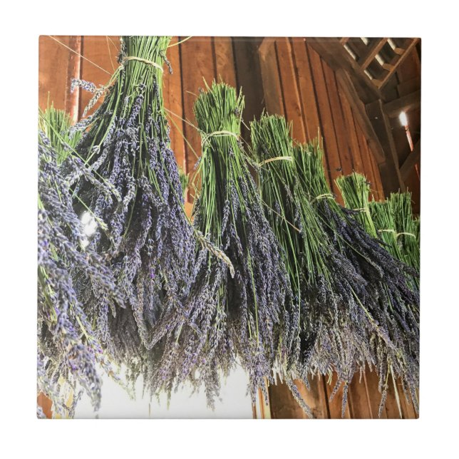 Lavender Hanging in a Barn Tile (Front)