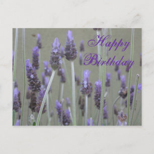 lavender Happy Birthday Postcard