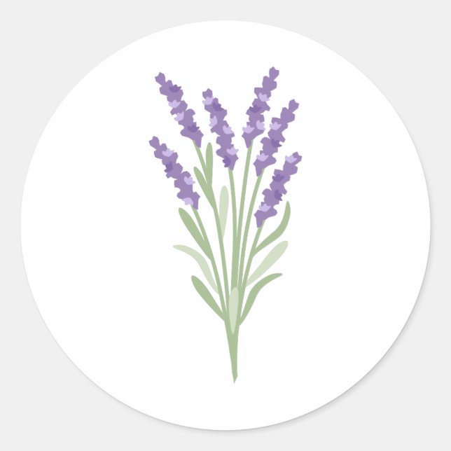 Lavender Herb Classic Round Sticker (Front)