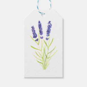 Lavender herb Lavender flowers watercolour Gift Tags