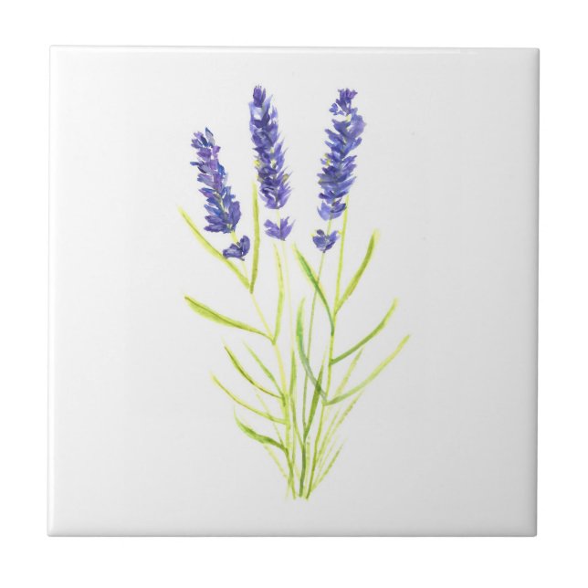 Lavender herb plant Purple floral Greenery  Tile (Front)