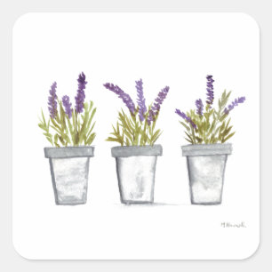 Lavender herb pots watercolor purple nature plant square sticker