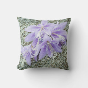 lavender hosta flowers in full bloom  cushion