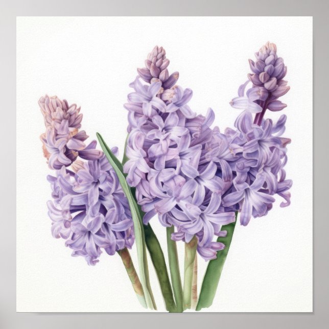 Lavender Hyacinth Flower Art Print Poster (Front)