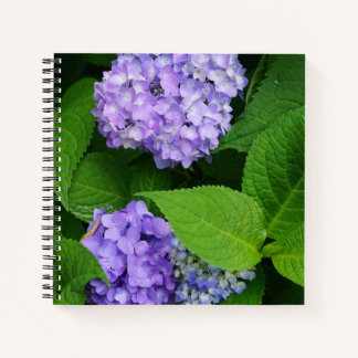Lavender Hydrangea Notebook