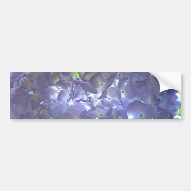 Lavender Hydrangeas Bumper Sticker (Front)