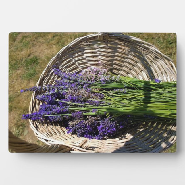 Lavender in a Basket Plaque (Front)