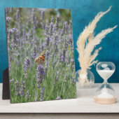 lavender in France Plaque (Side)