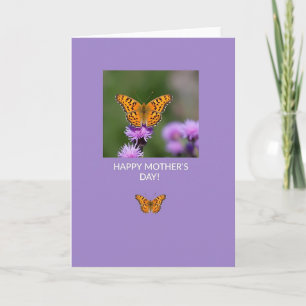 Lavender Insect Photo Card