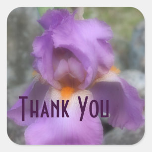Lavender Iris Flower Thank You Sticker