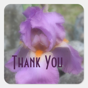 Lavender Iris Flower Thank You Sticker