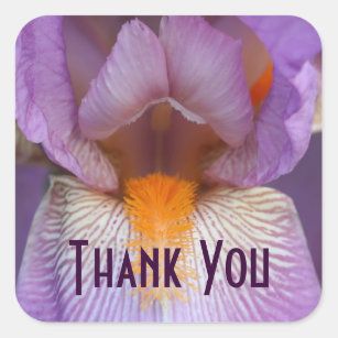 Lavender Iris Petal Flower Thank You Square Sticker