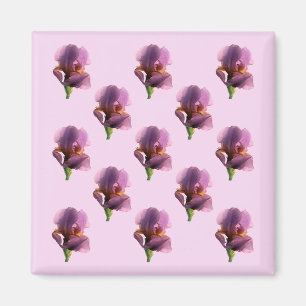 Lavender Irises...... Magnet