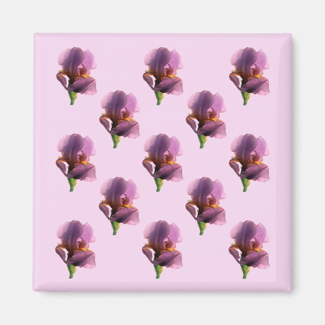 Lavender Irises...... Magnet (Front)