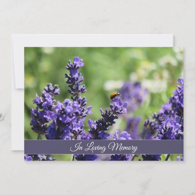 Lavender & Ladybug Memorial Service Announcement (Front)