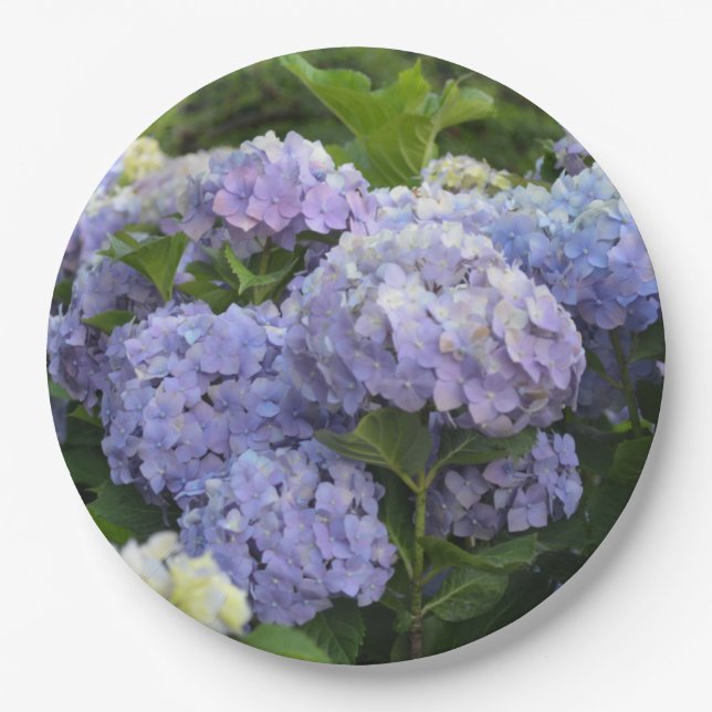 Lavender & Lilac Hortensia Hydrangea Flowers Paper Plate (Front)