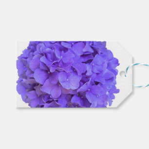 Lavender lilac purple Hydrangeas purple Flowers Gift Tags