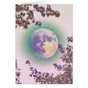 Lavender Moon