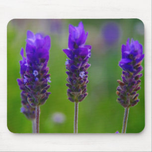 lavender mouse mat