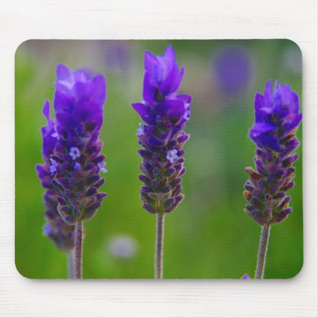 lavender mouse mat (Front)