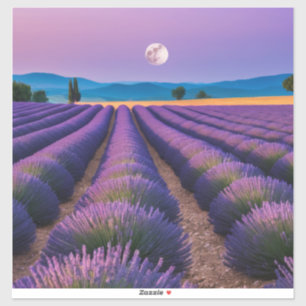 Lavender Nature Outdoors Landscape Calm Peaceful