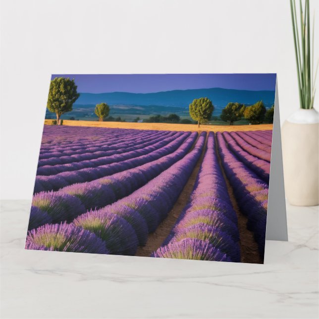 Lavender Nature Outdoors Landscape Calm Peaceful  Card (Front)