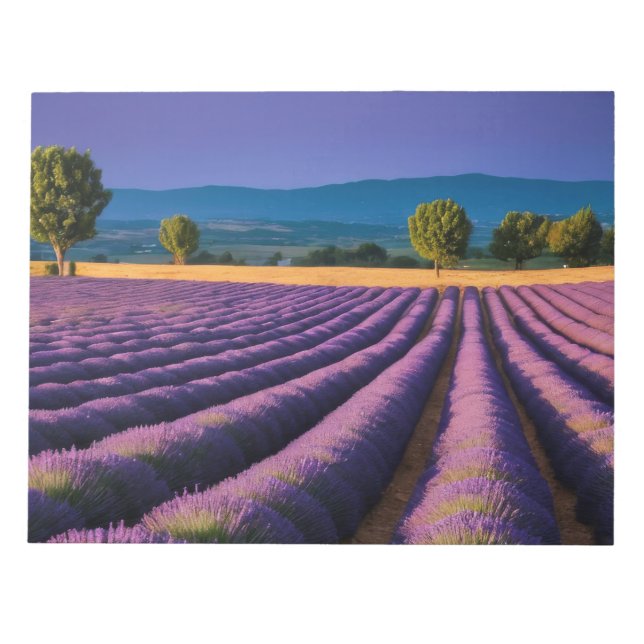 Lavender Nature Outdoors Landscape Calm Peaceful  Notepad (Front)