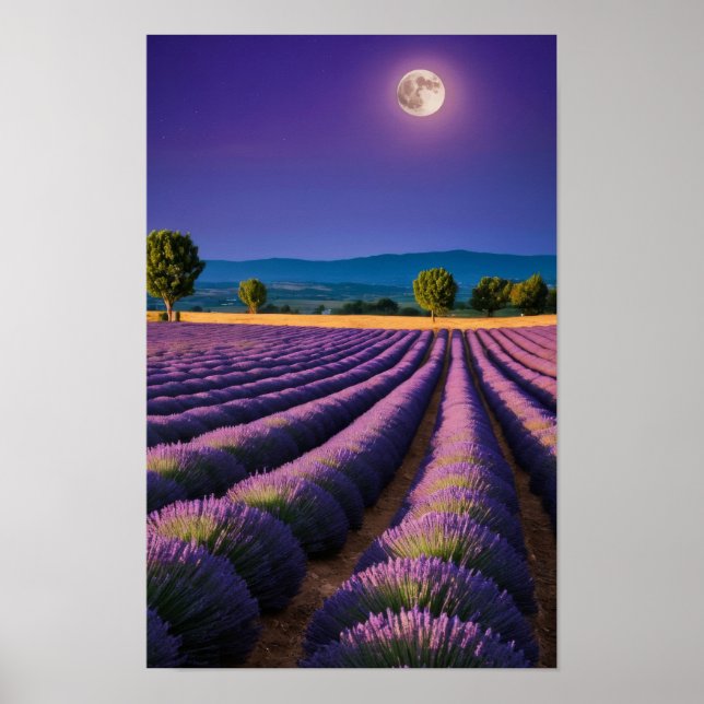 Lavender Nature Outdoors Landscape Calm Peaceful  Poster (Front)