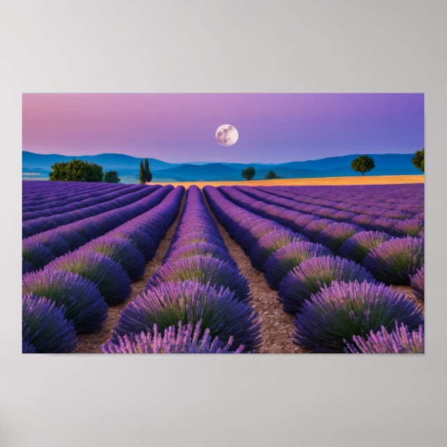 Lavender Nature Outdoors Landscape Calm Peaceful  Poster (Front)