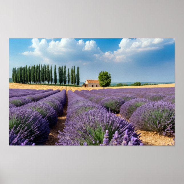 Lavender Nature Outdoors Landscape Calm Peaceful  Poster (Front)