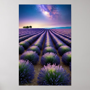 Lavender Nature Outdoors Landscape Calm Peaceful  Poster