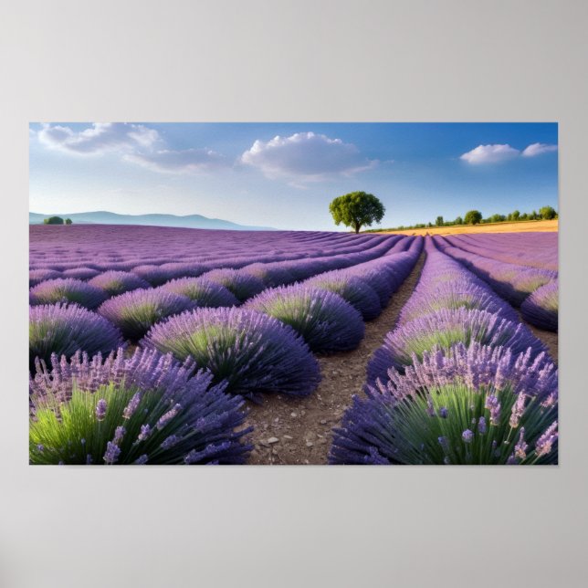 Lavender Nature Outdoors Landscape Calm Peaceful  Poster (Front)