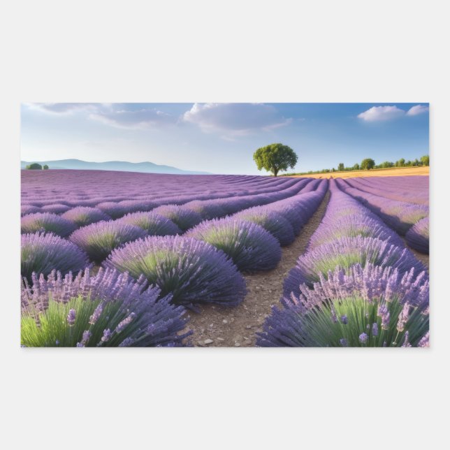 Lavender Nature Outdoors Landscape Calm Peaceful  Rectangular Sticker (Front)