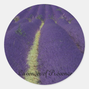 Lavender of Provence Classic Round Sticker