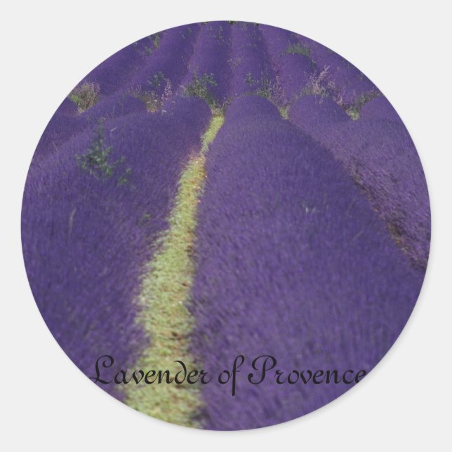 Lavender of Provence Classic Round Sticker (Front)