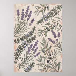 Lavender Olive Botanical Art Poster